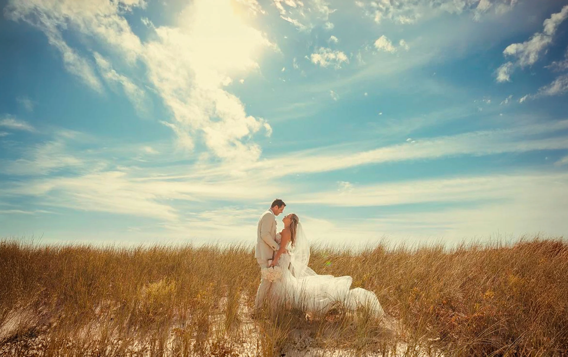 Newlywed couple in a sunlit field